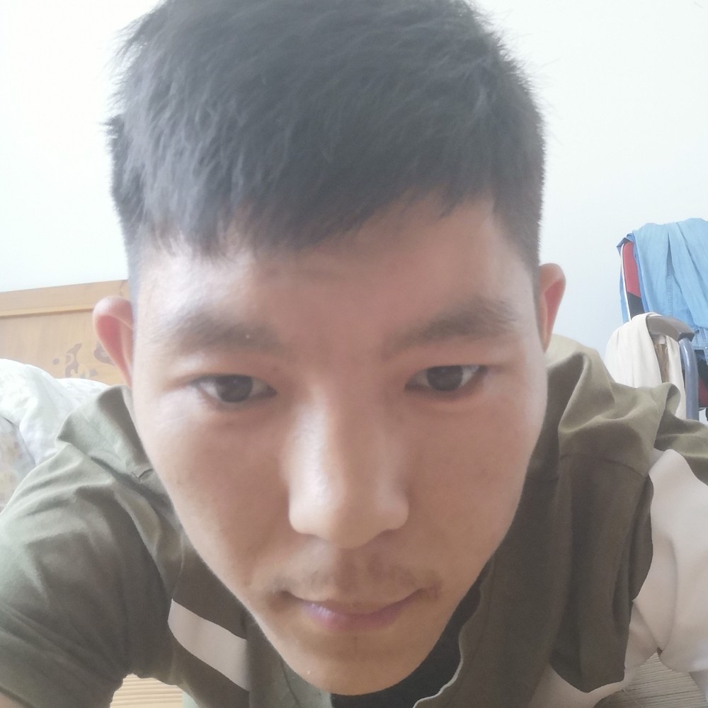 红牛吃醋和谐的照片