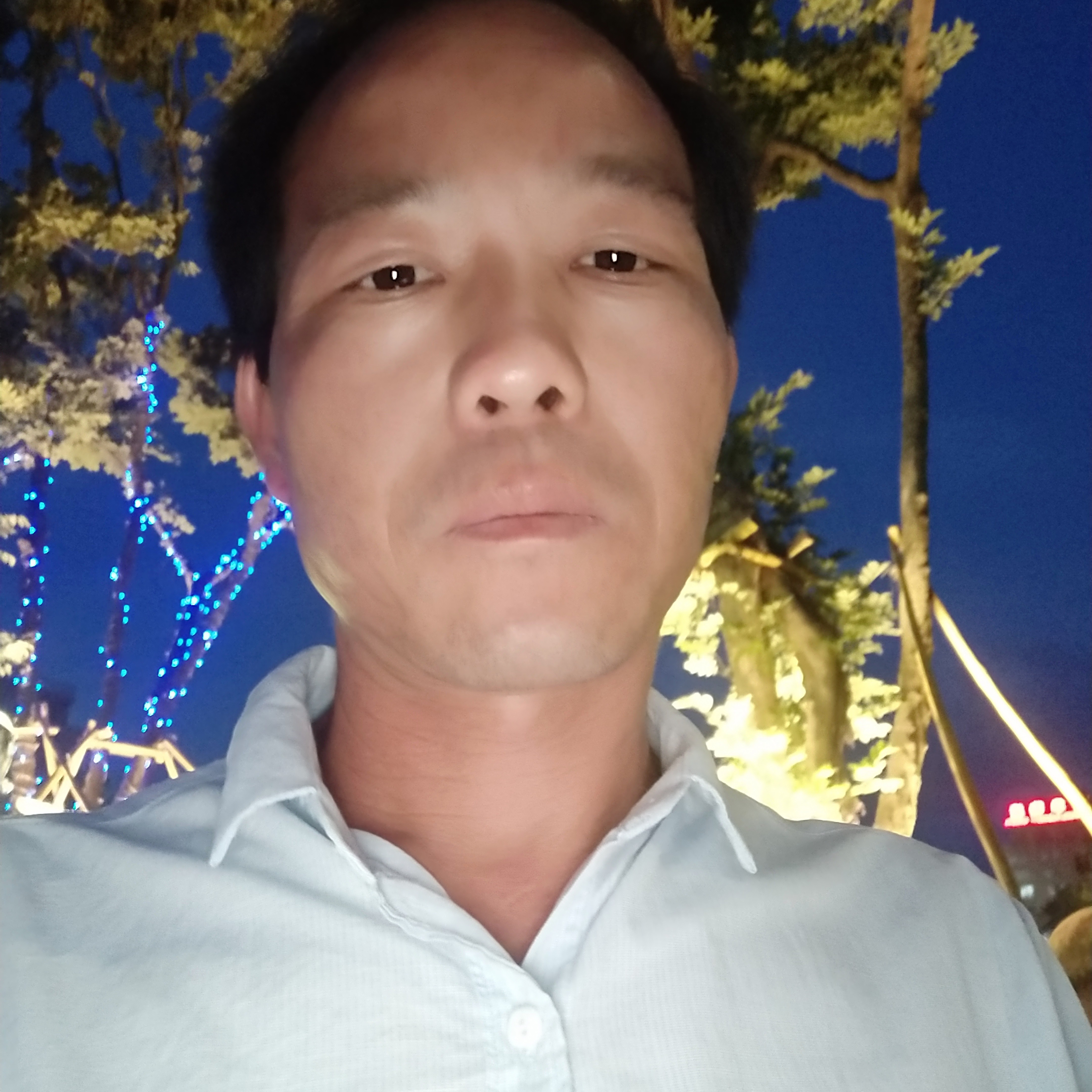透彻蹁跹小蝴蝶的照片