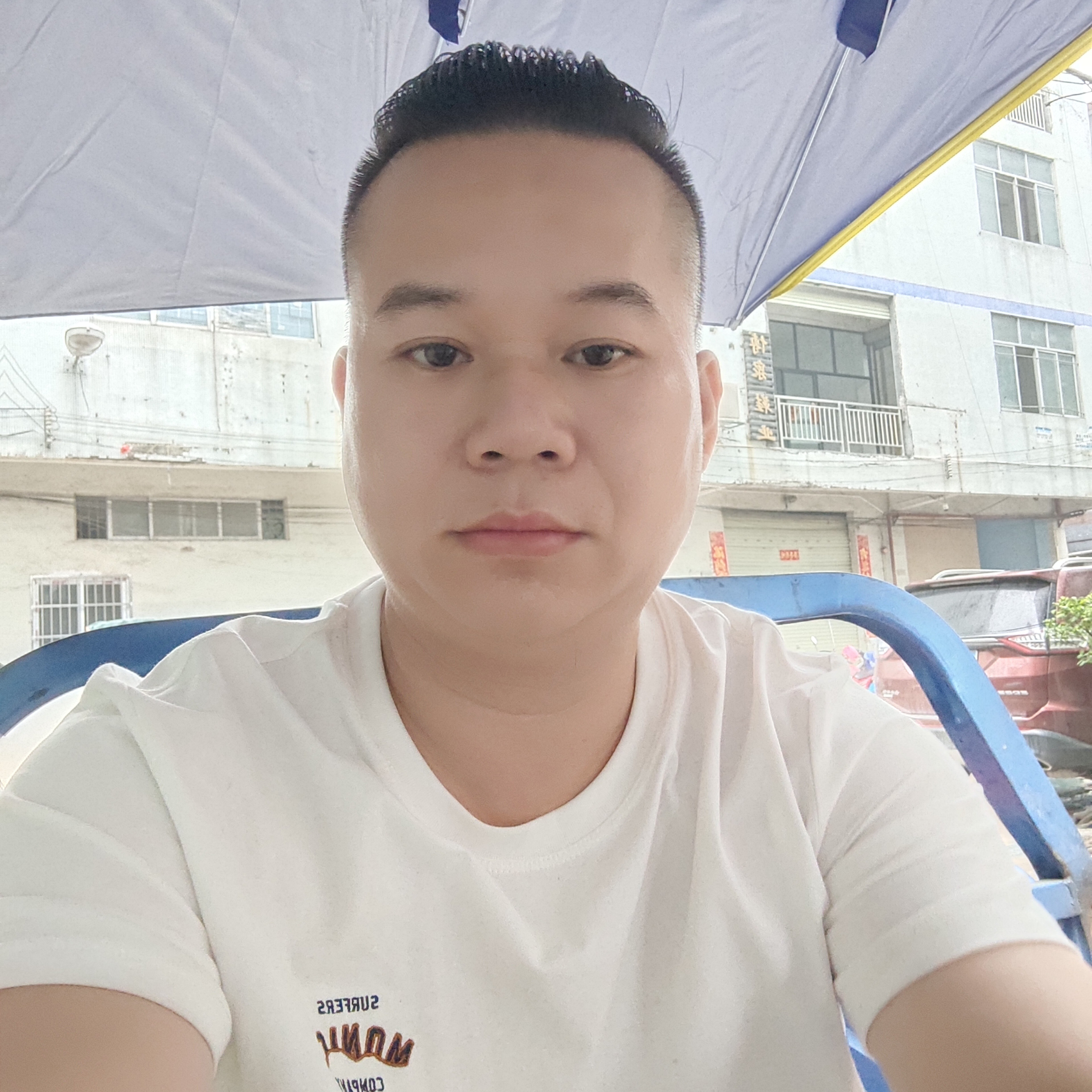 风趣爱季节的照片