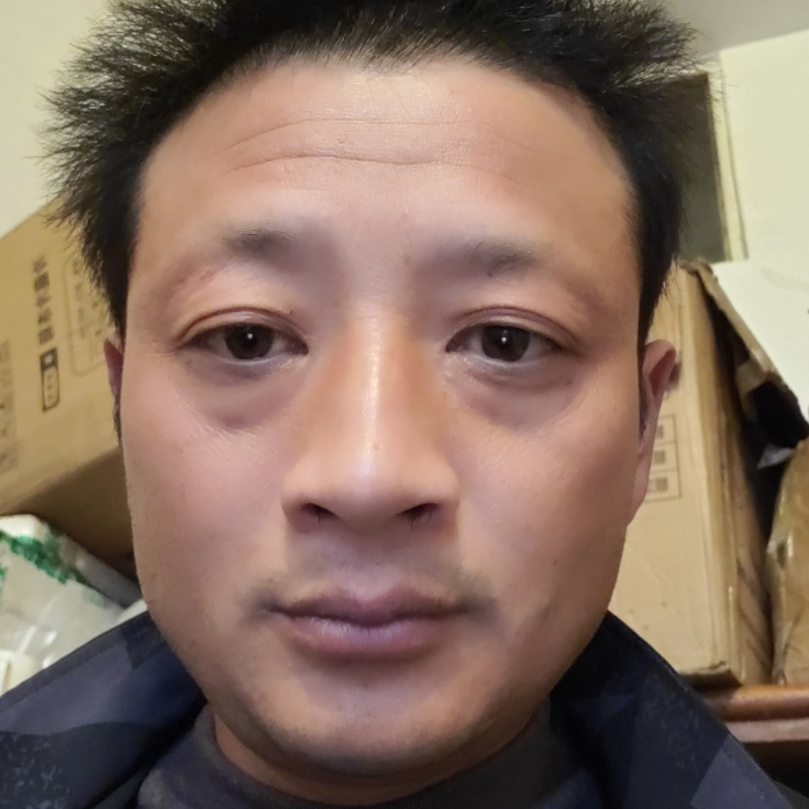 羽毛倾心温婉的照片