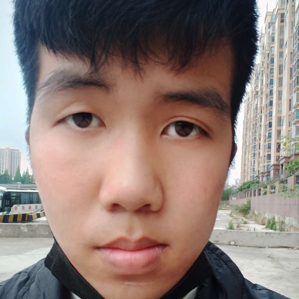 白羊的照片