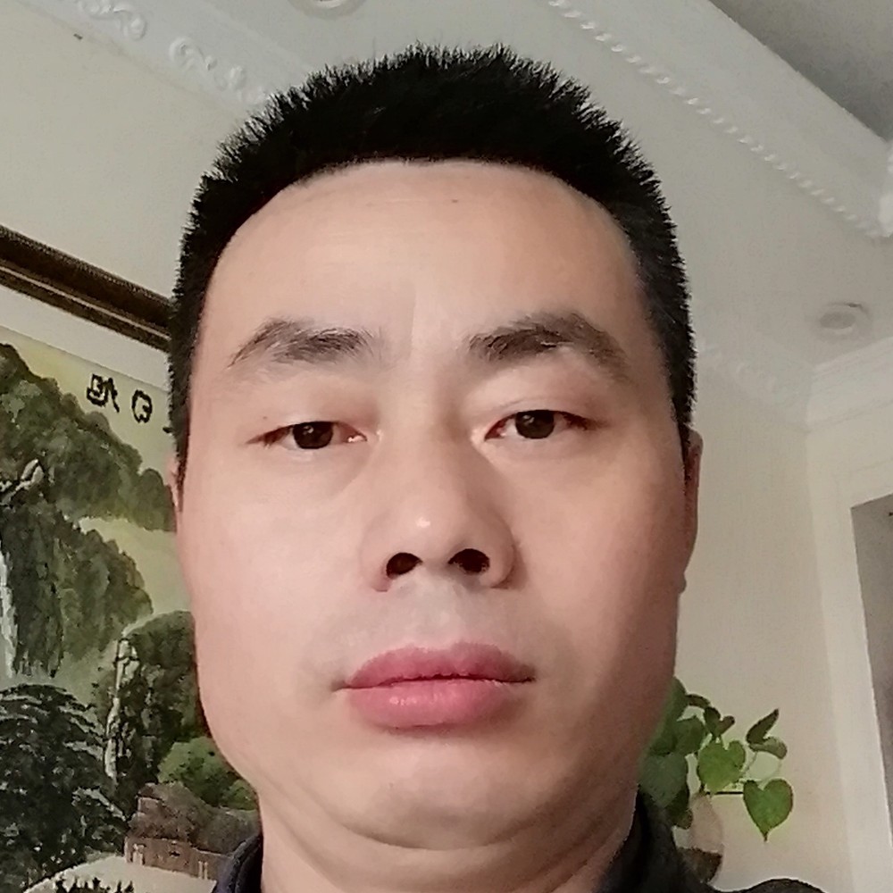 猫咪烂漫的照片