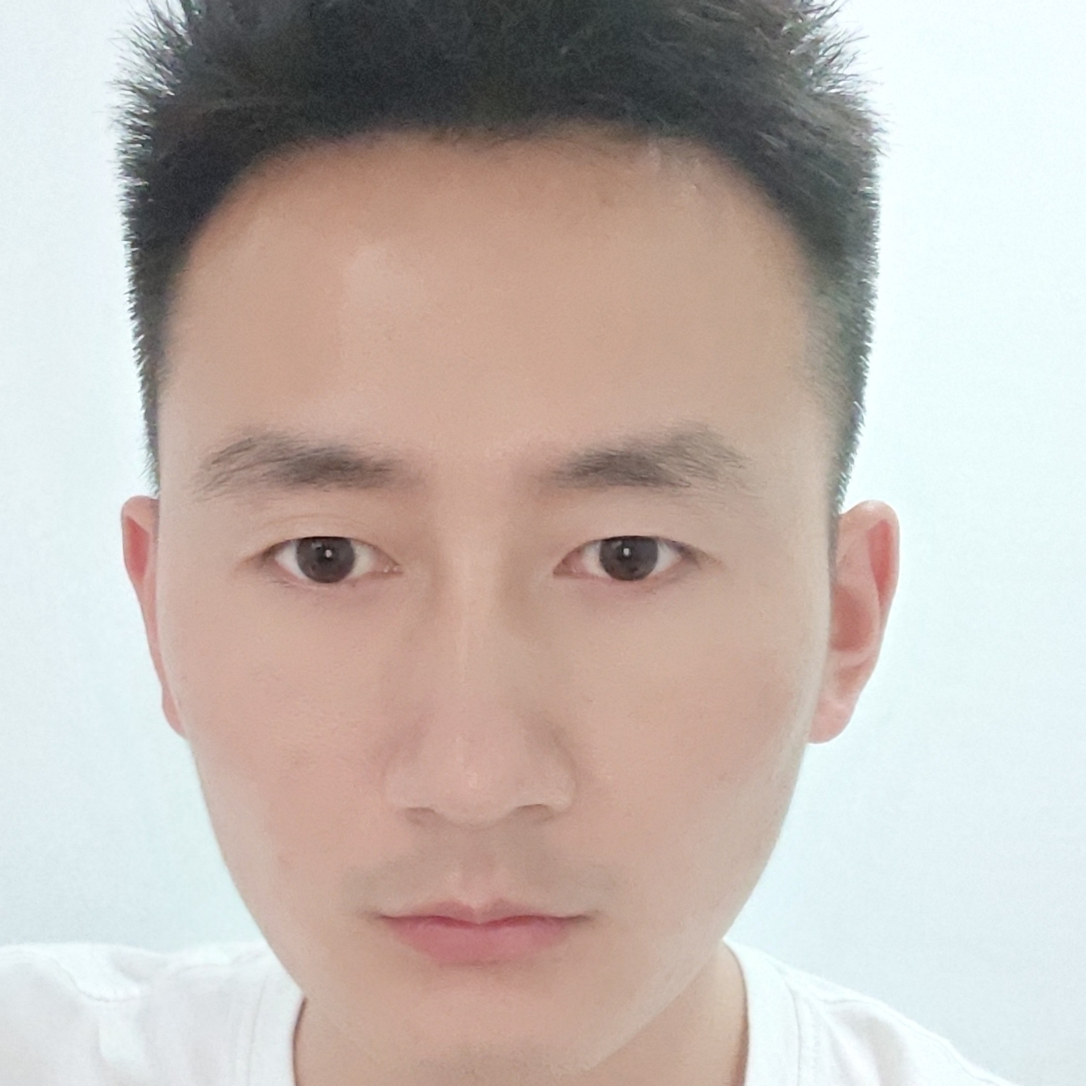 俭朴回眸小蜜蜂的照片
