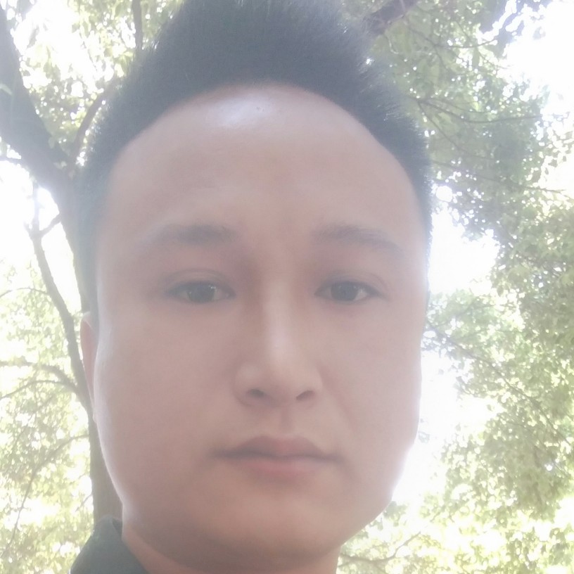 独恋一支花的照片