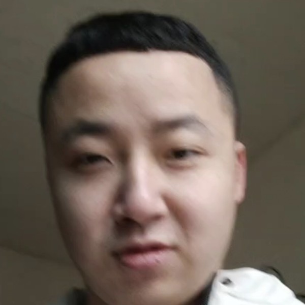 红玫瑰感性的照片