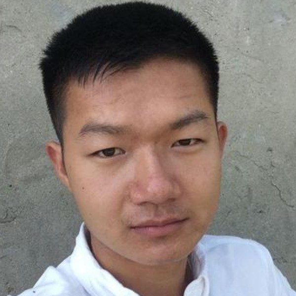 哈密瓜有结实的照片