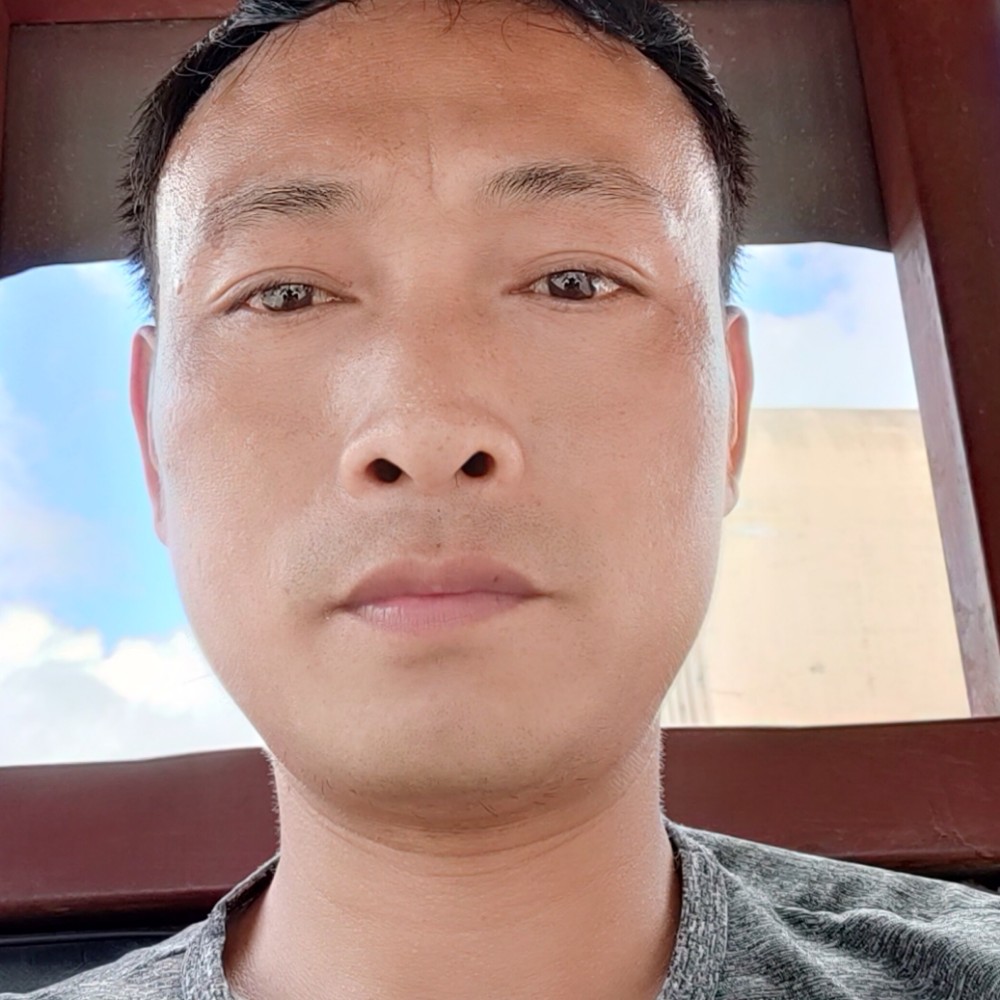 发夹深拥明媚的照片