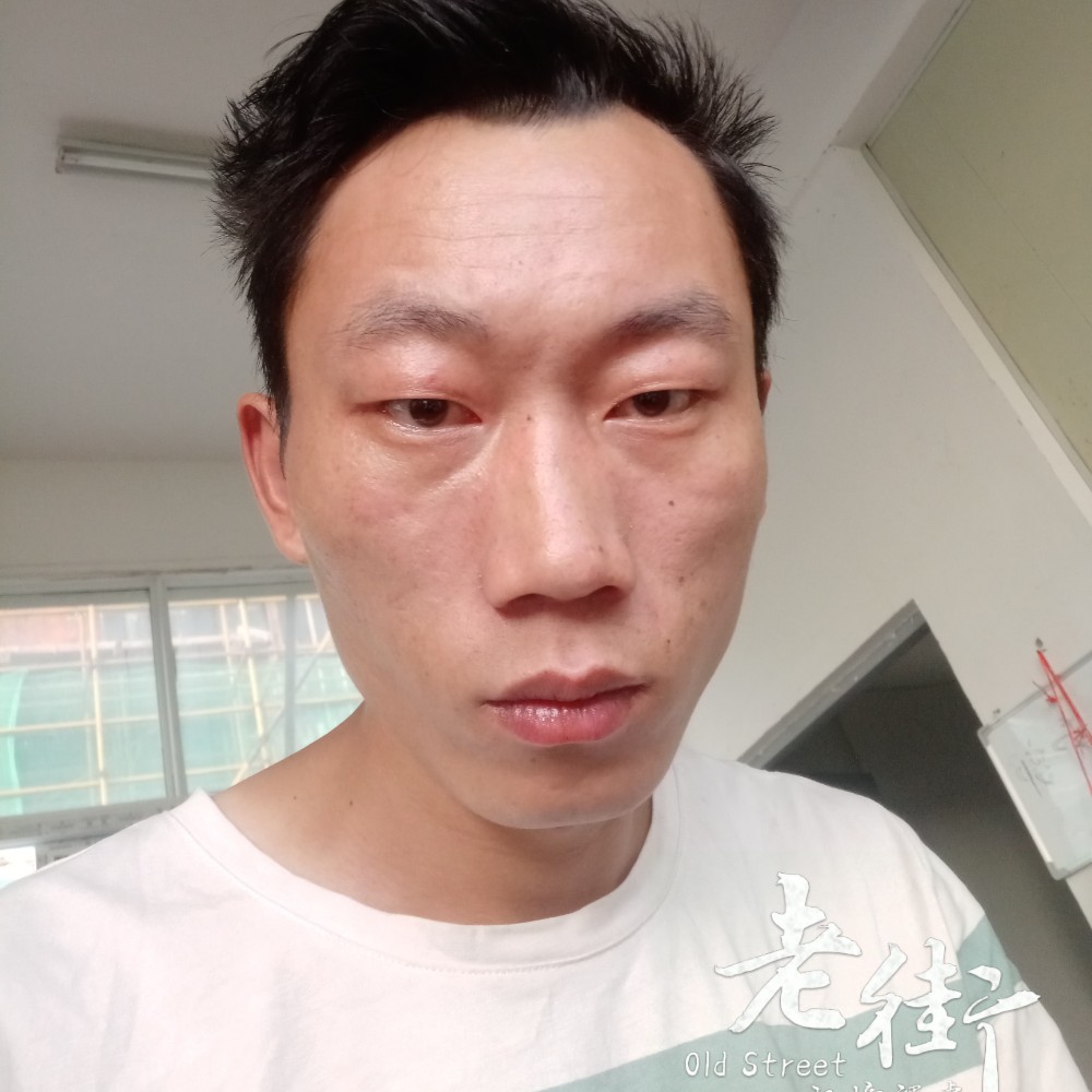 玫瑰踏实的照片