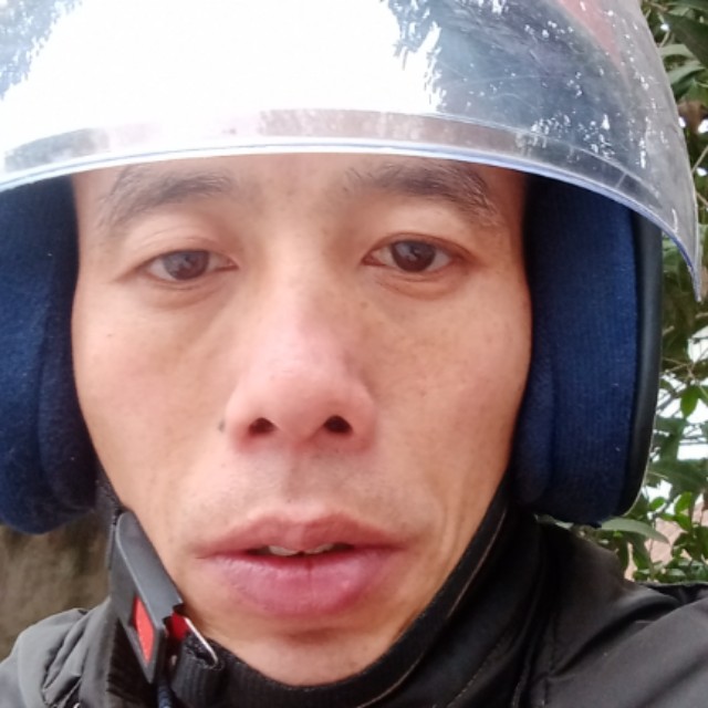 高贵演变羽毛的照片