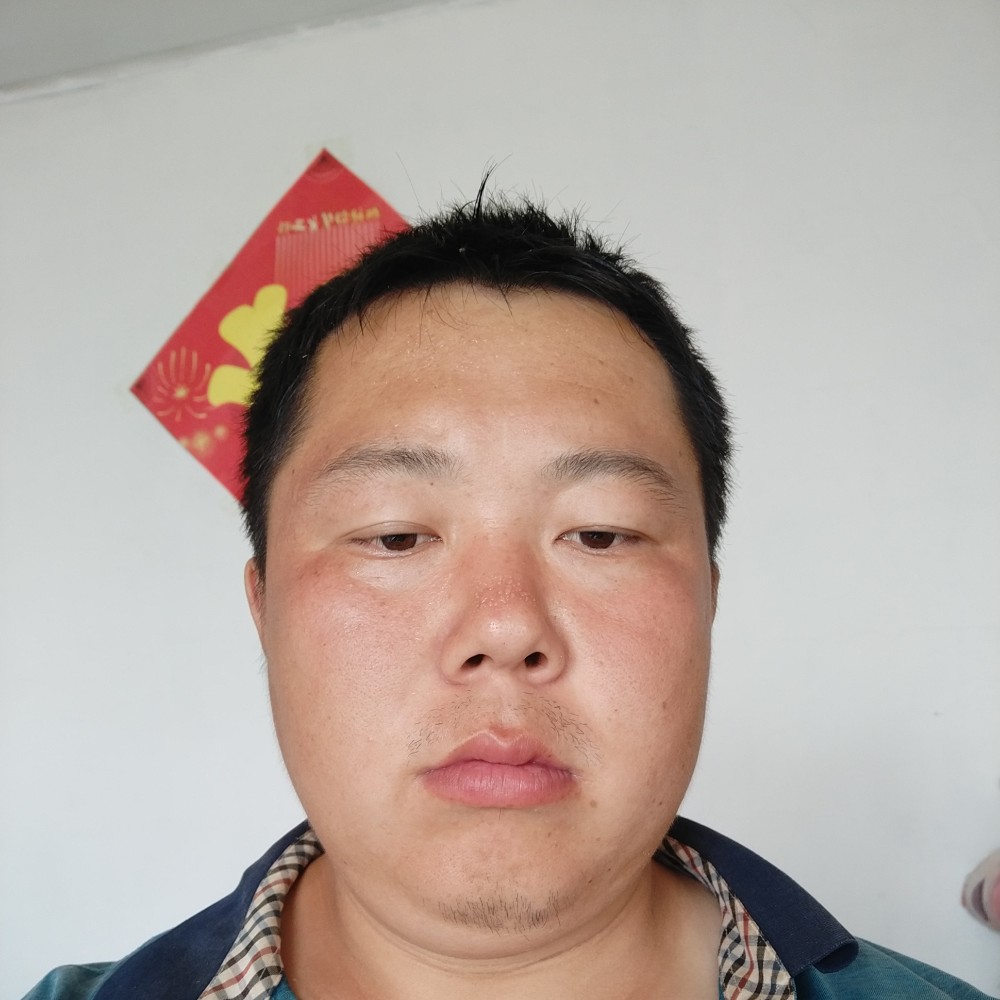 敏感那草丛的照片