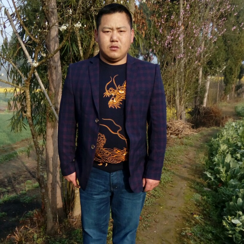 香菇殷勤的照片