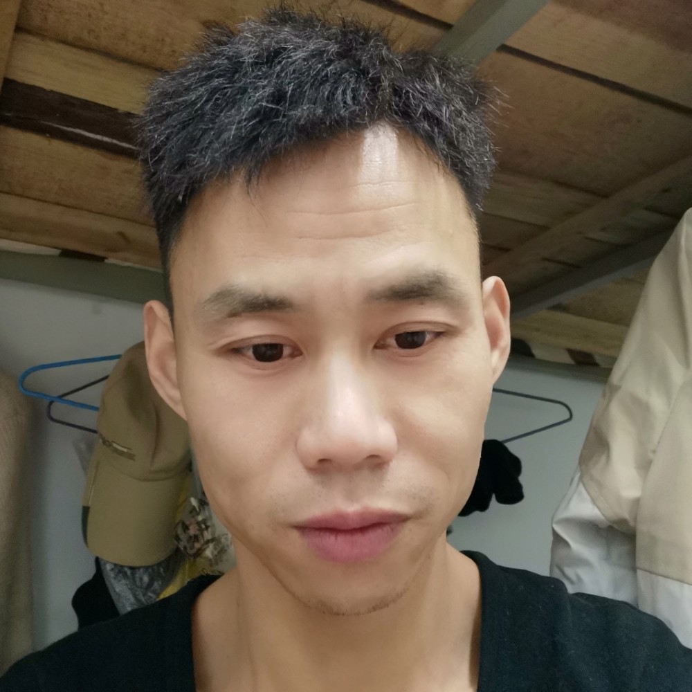 秋风起落叶的照片