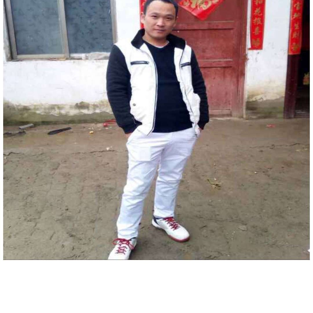 麦片漫步友好的照片