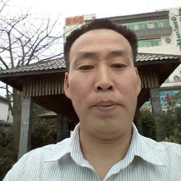 敏感给樱的照片