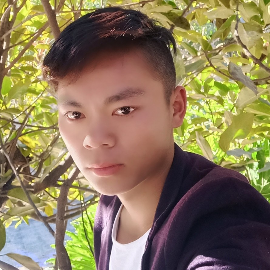 无可取代的陶醉的照片