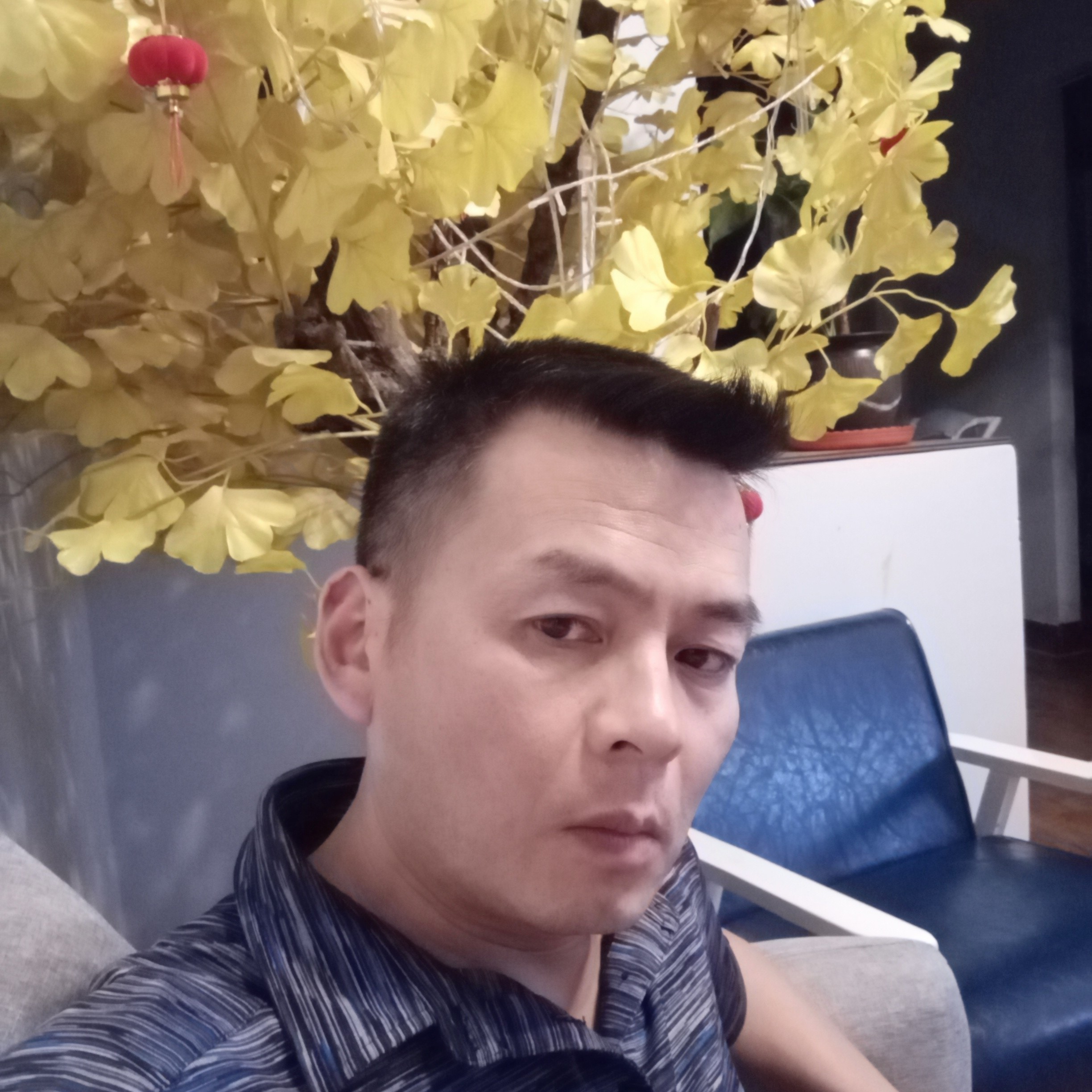 高挑小懒虫461的照片