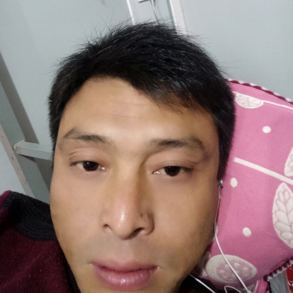 天马行空流星雨的照片