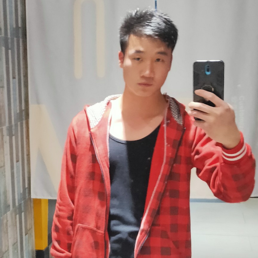 行走黑猫的照片