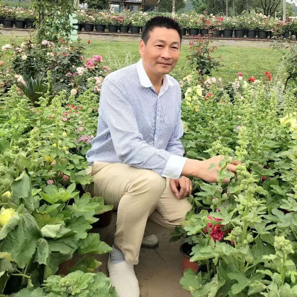 阳光一3的照片