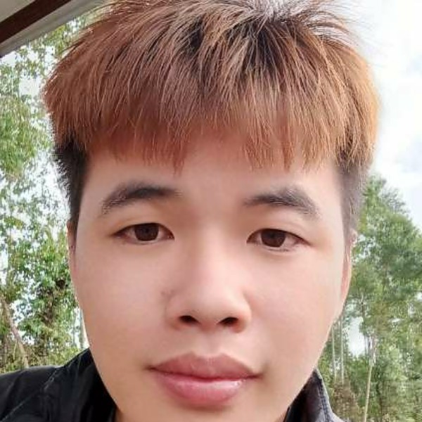高挑相许斑马的照片