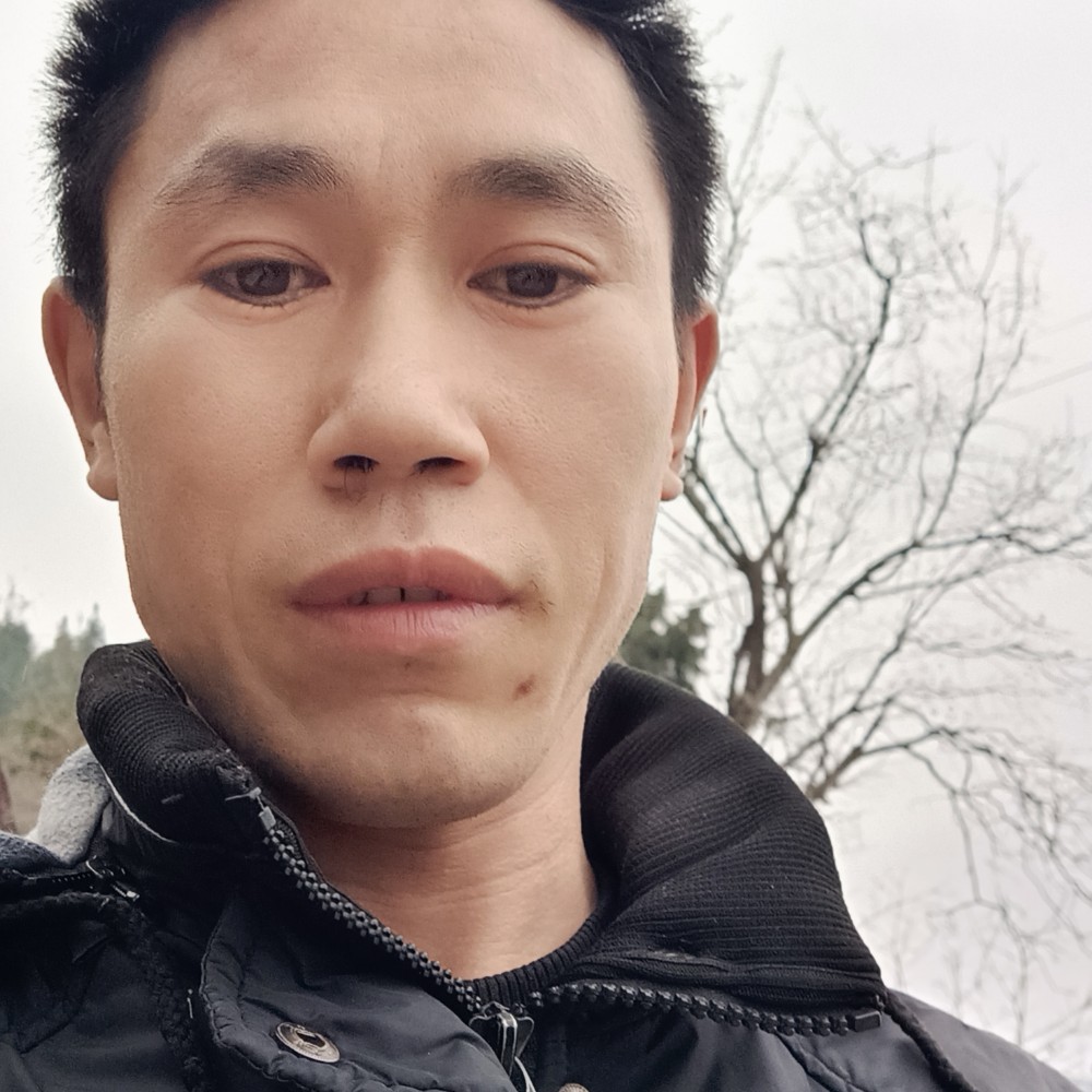自由你们的照片