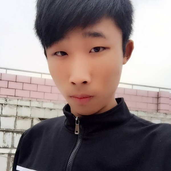 桃花—散的照片