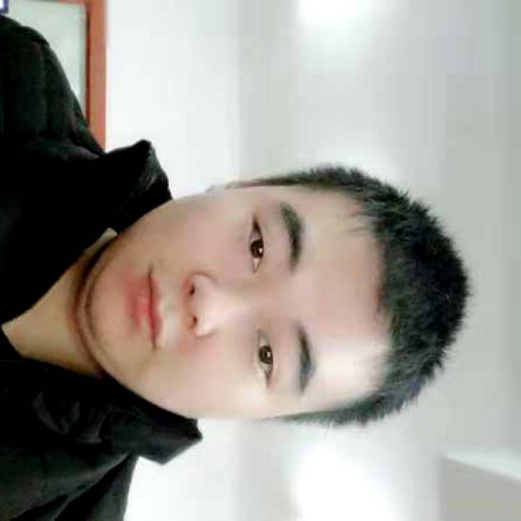 向日葵的照片