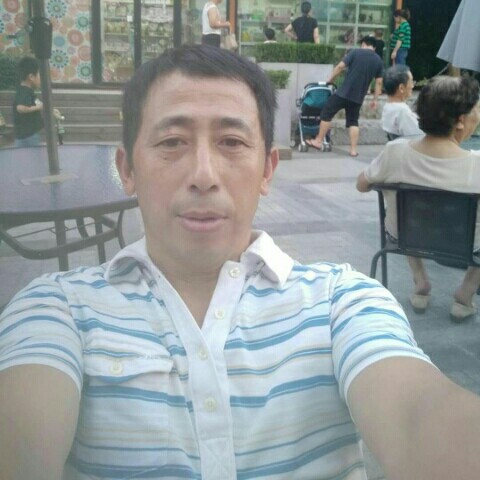 勤劳冬瓜的照片