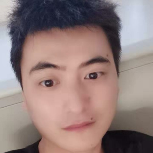 霸气漫步蚂蚁的照片
