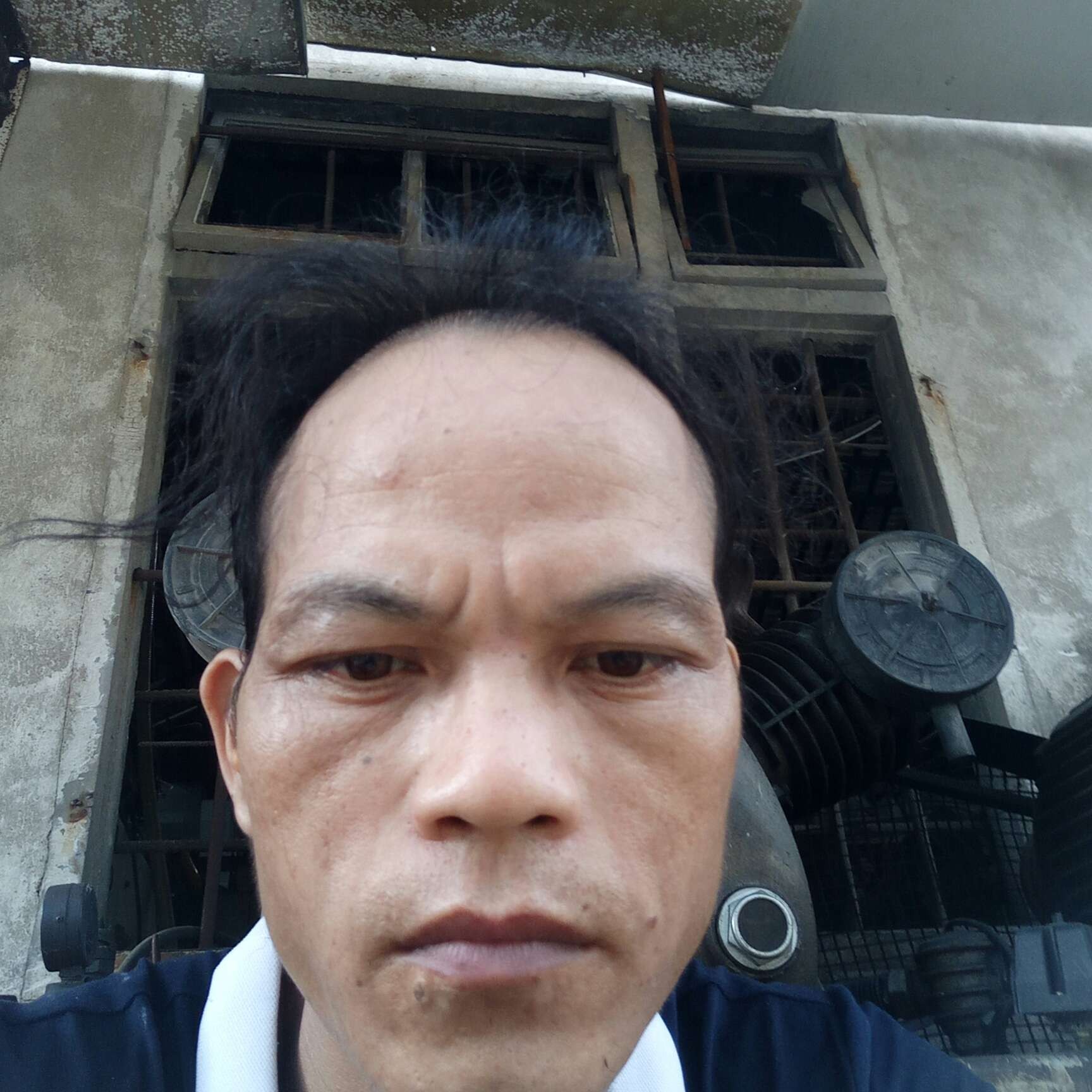情绿茶的照片