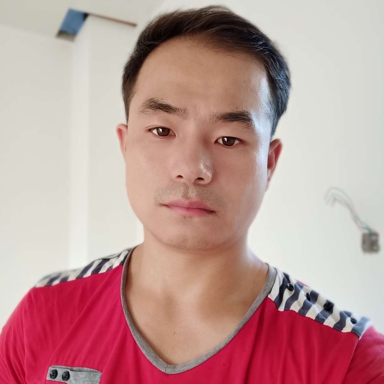 勤奋浅吻毛豆的照片
