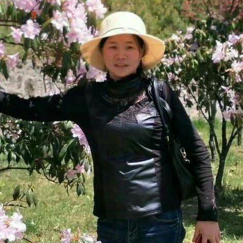 兴奋蜻蜓的照片