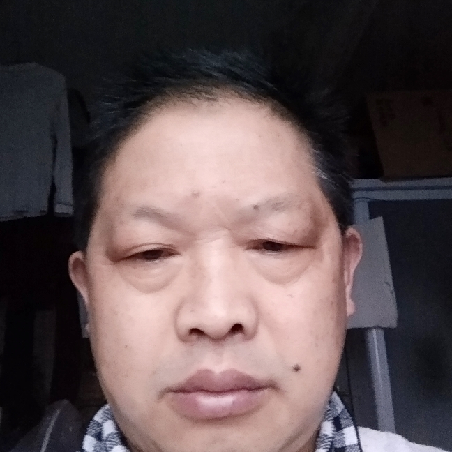 老虎孤独的照片