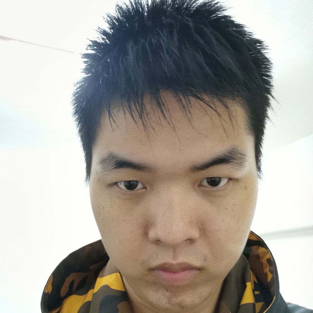 猫咪大力的照片