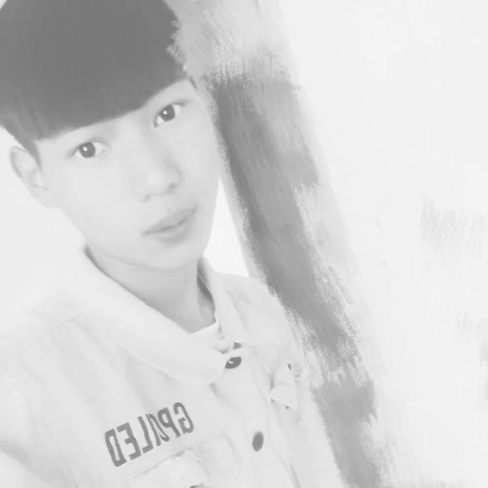 一只傻飞的照片