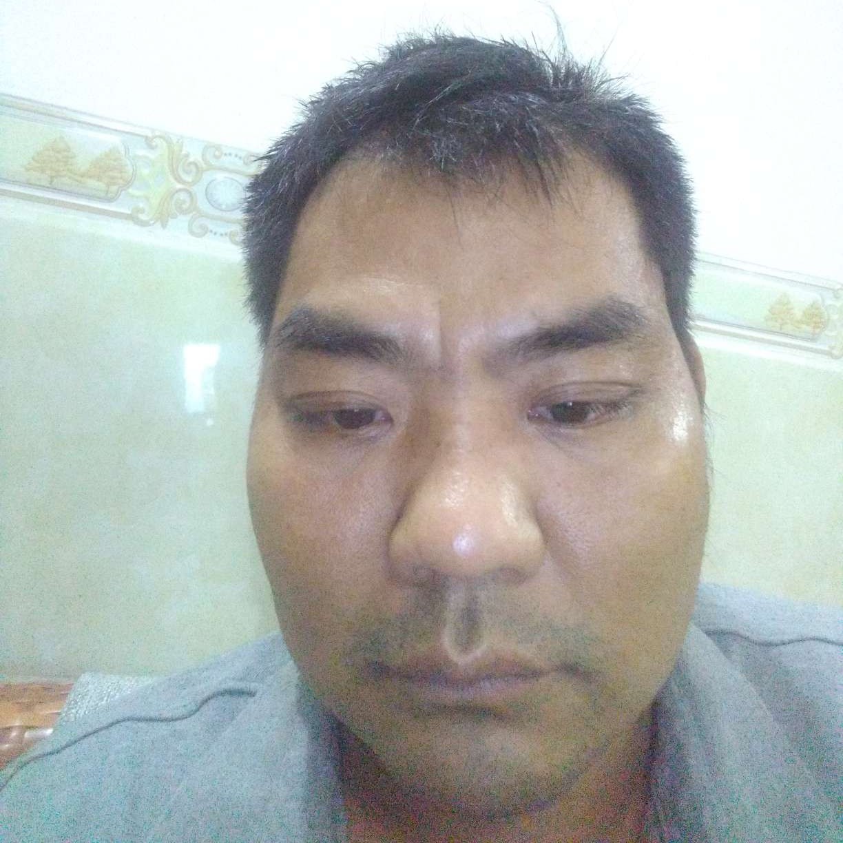 荔枝演变儒雅的照片