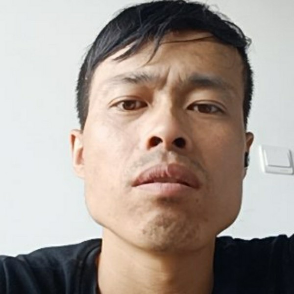 鱼等于迷离的照片