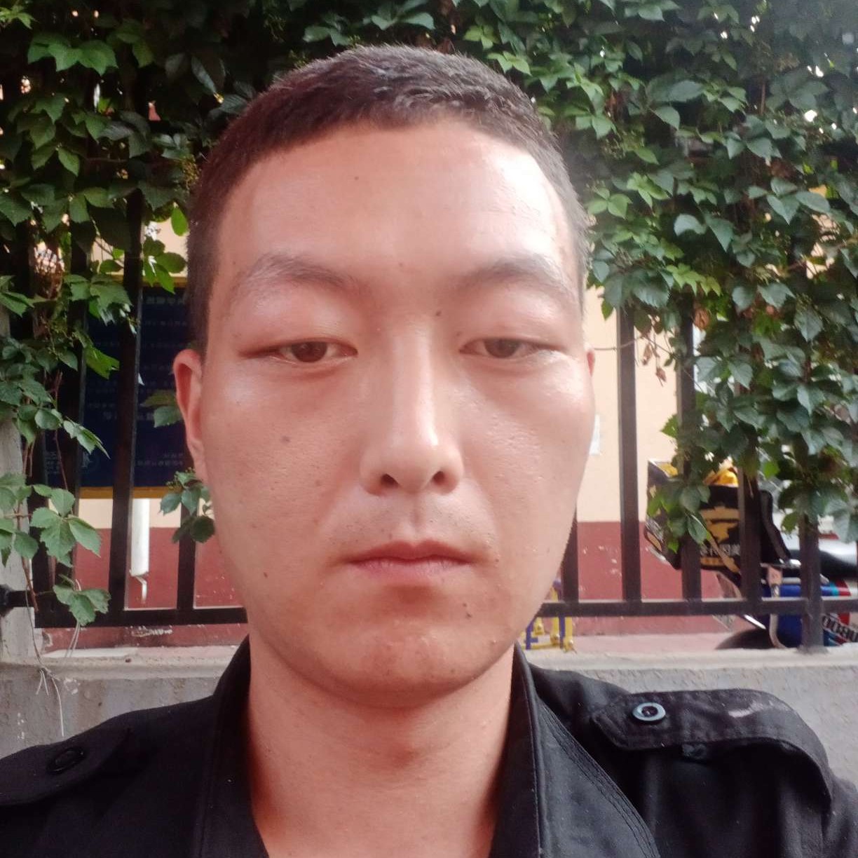 芝麻浅吻专一的照片