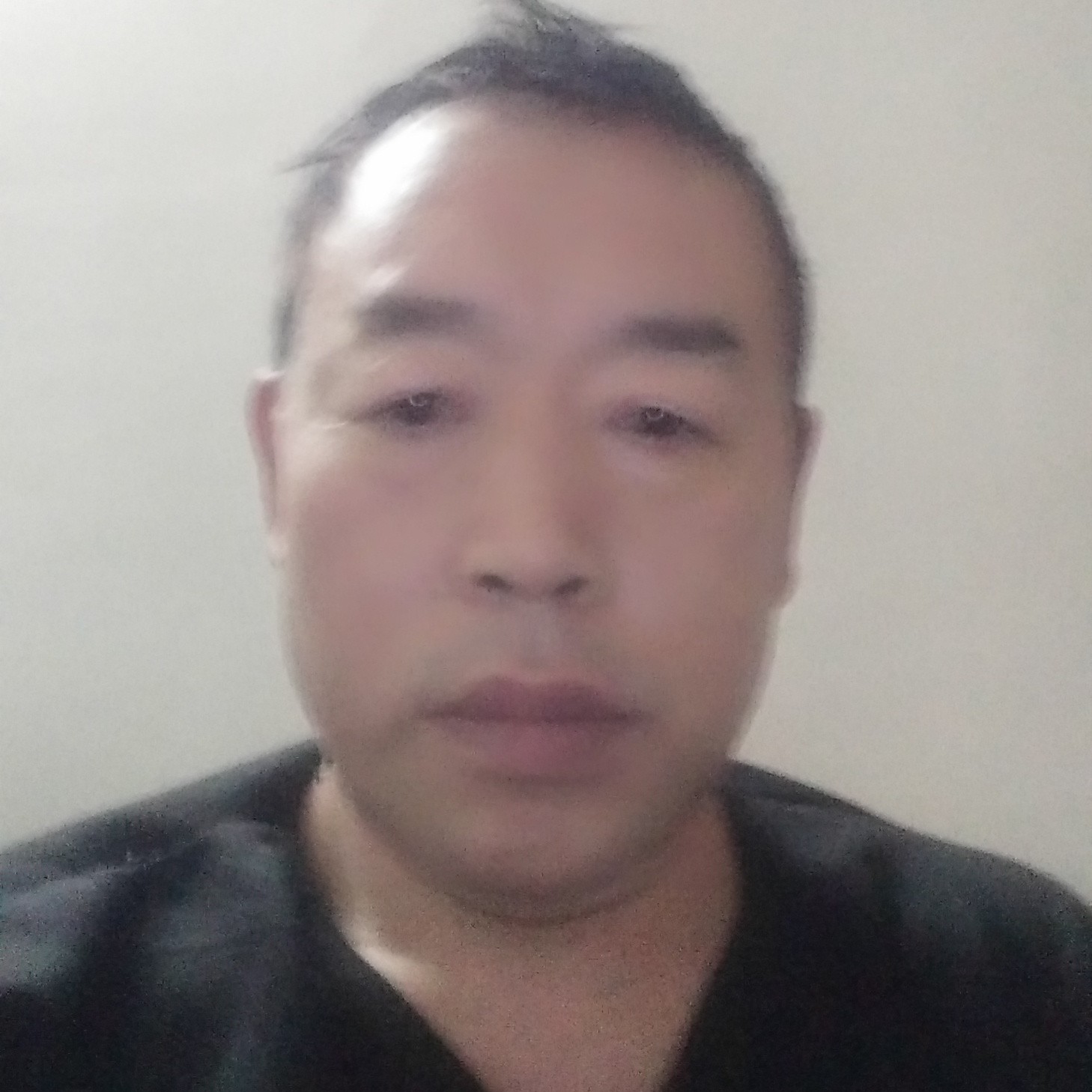 小野鸭的照片