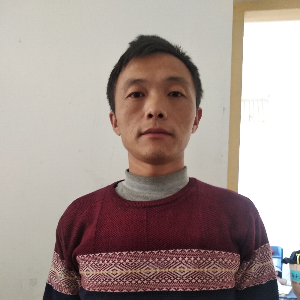 过客背影的照片