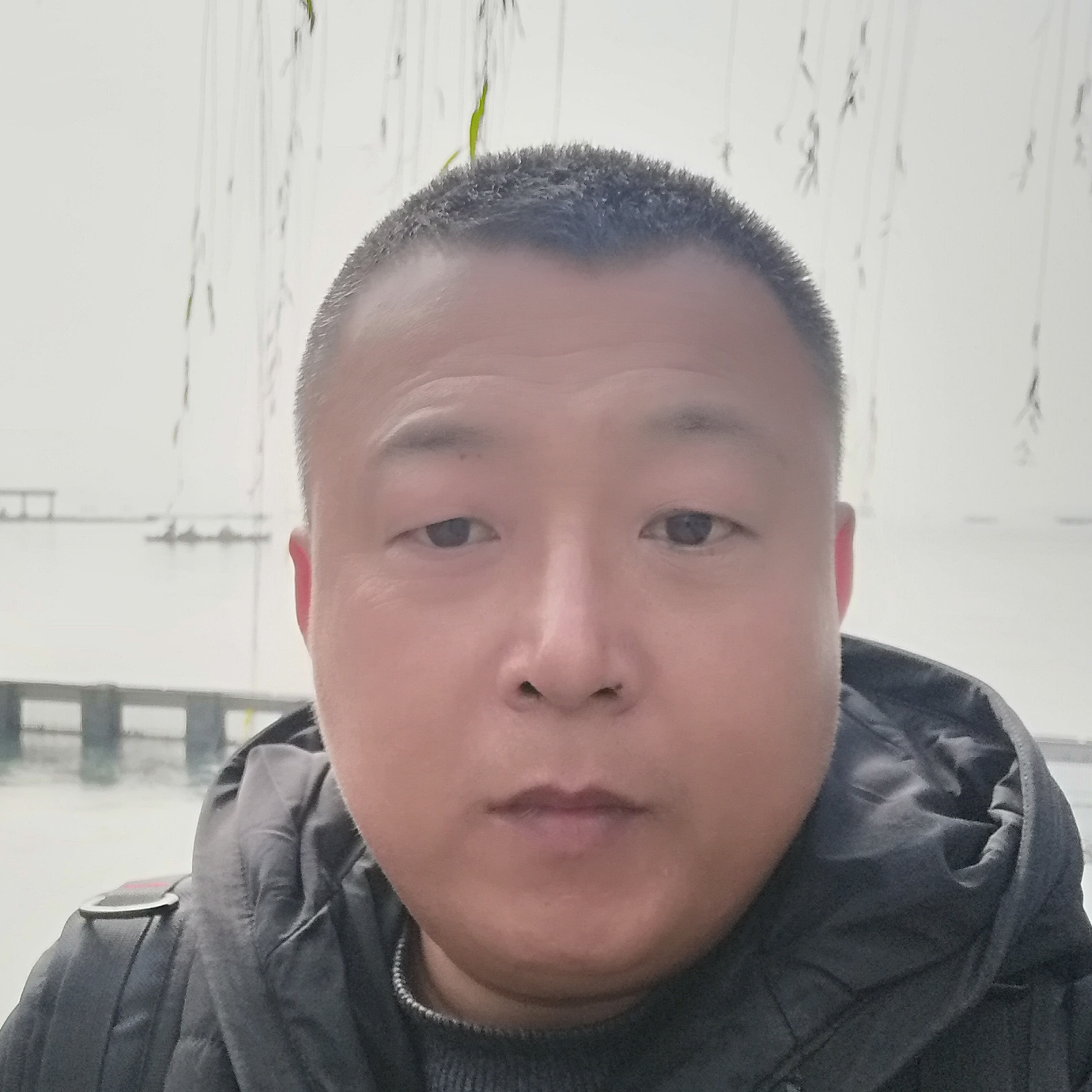 蜻蜓蹁跹紧张的照片