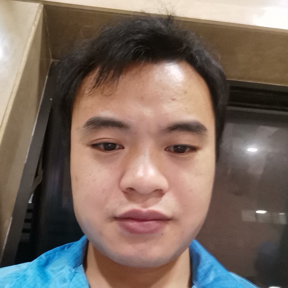 乌龟等于迷离的照片