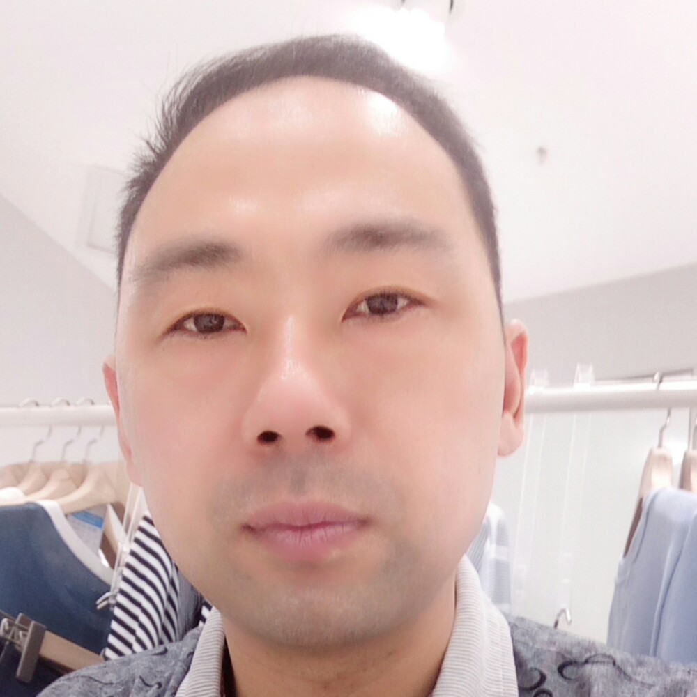 单身大象的照片