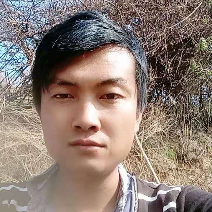 欢喜邂逅树叶的照片