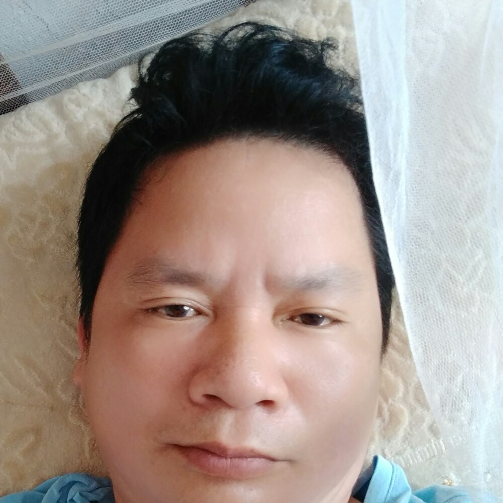 紫菜积极的照片