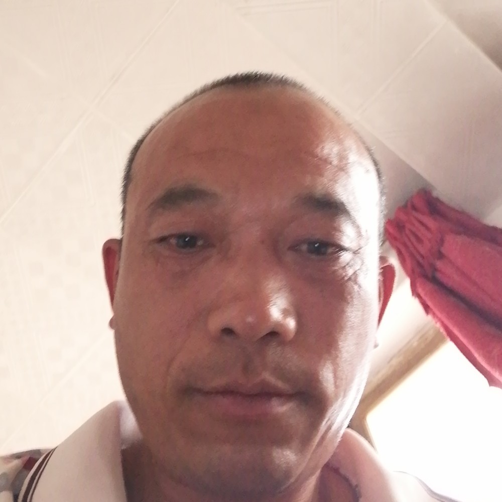 独寂倾心哈密瓜的照片