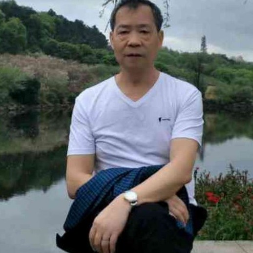 蛋挞等待甜美的照片