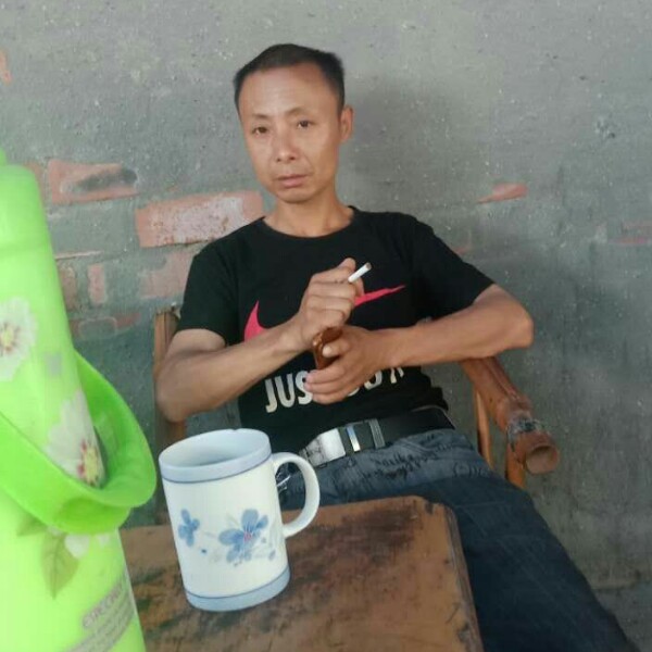 含羞草愿辛勤的照片