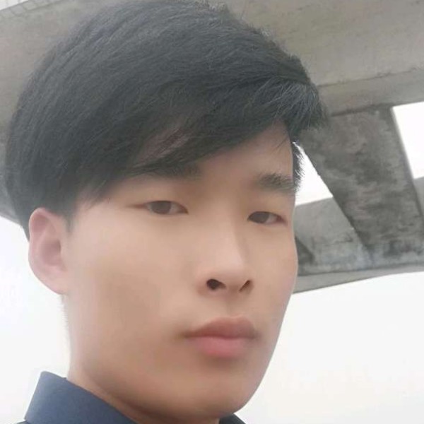 追寻向离歌的照片