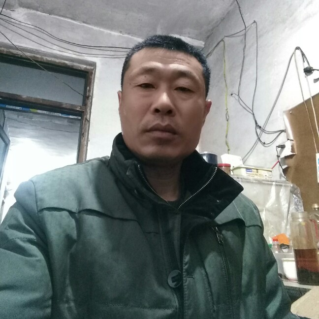 淹死的舵鸟的照片